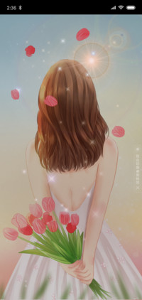 倾城时光