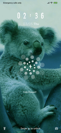 KoalaBear_3MDS