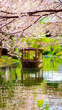 The most romantic in japan