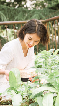 田园风摄影该怎么拍？