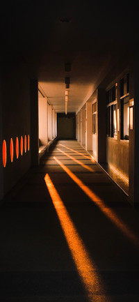 光影间的魅力