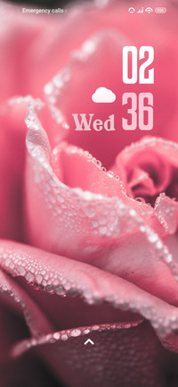 Close Flower