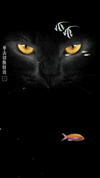 夜猫子