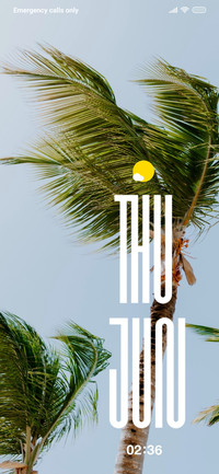Sunny Trees
