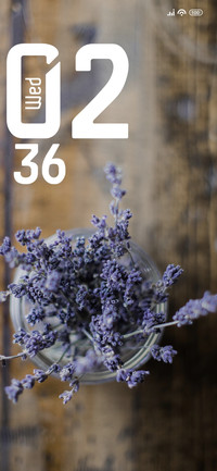 Lavender
