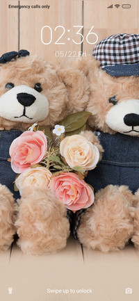 TeddyBear