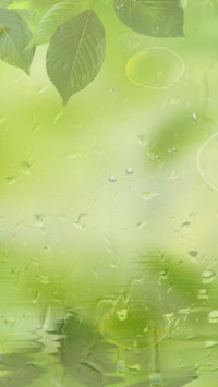 轻轻河边草