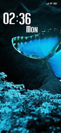 Butterfly