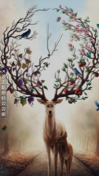 AE森林鹿