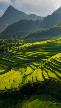 Amidst the clouds and shadows of the wuping terraced