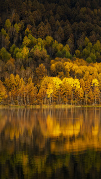 Autumn fills the mountains and rivers