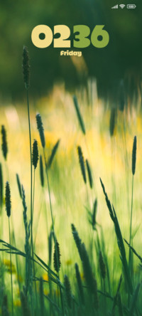 Wildflowers Meadow