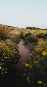 Nature HD - 2020-06-02T125909.331