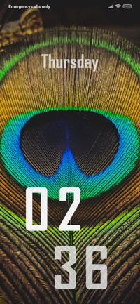 Colour Fans