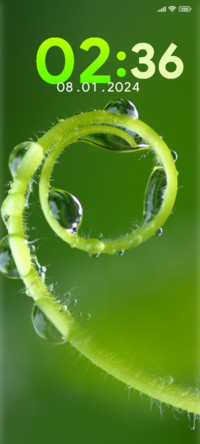 leaves swirl