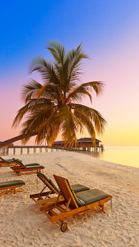 Go to Maldives