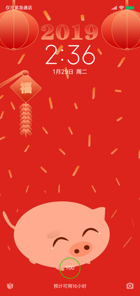 小猪贺年