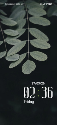 Grey Leaf