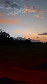 landing-1386