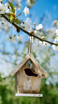 Spring is here