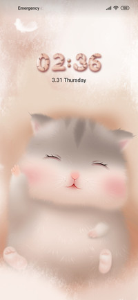 Cute hamster