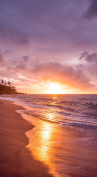 Beauty of Earth 1 (1)