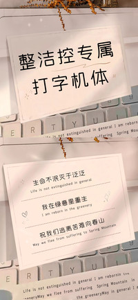 整洁控专属打字机体