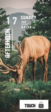 Hill Deer