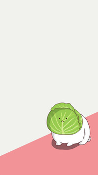 卷心菜
