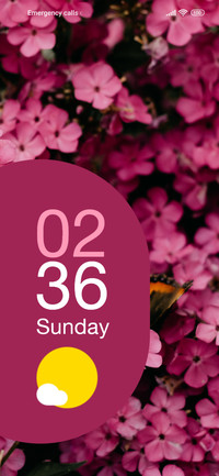 Pink Petal