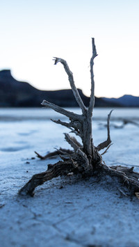 Conserve Nature 23