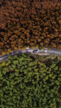 Good scenery in Foziling 97