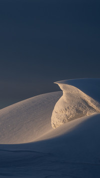 Snow reflects on the cold forest in quiet shadows