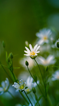 Warm spring sun