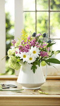Sunning flowers to avoid mistakes 18