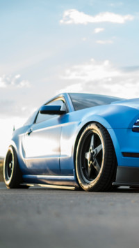 Muscle (8)