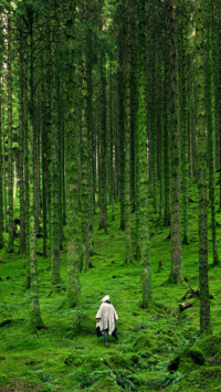 Adventure (14)