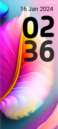 colorful wing