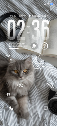 ins和猫猫的日子