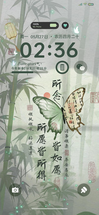 光影绿竹蝶影