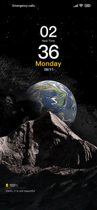 Earth's light