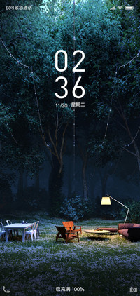 明亮的夜林