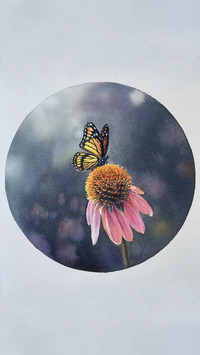 蝶恋花