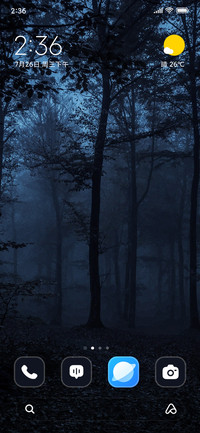 Forest Darkness