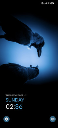 Crow Duo