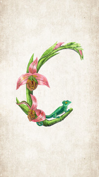 Bsen插画作品
