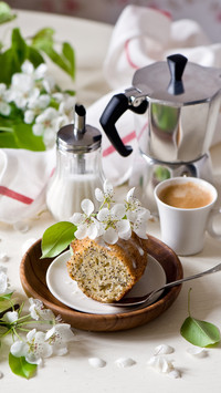 Enjoy delicate nutrition breakfast