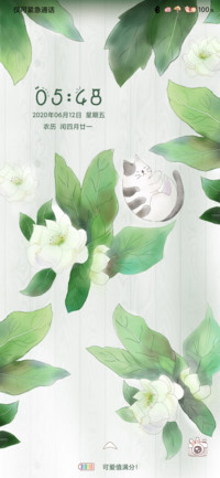 茉莉花喵小清新