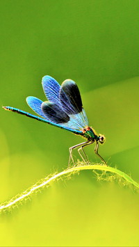 The Beauty of Nature