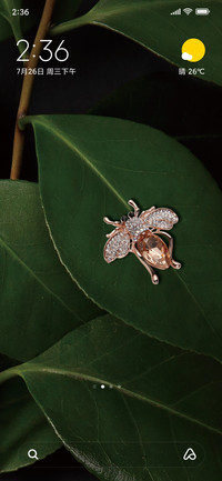 Insect